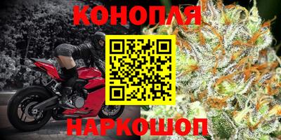 гашик Краснознаменск