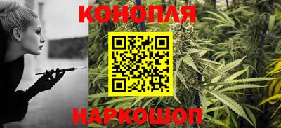 гашик Краснознаменск