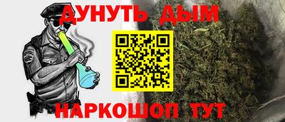гашик Краснознаменск