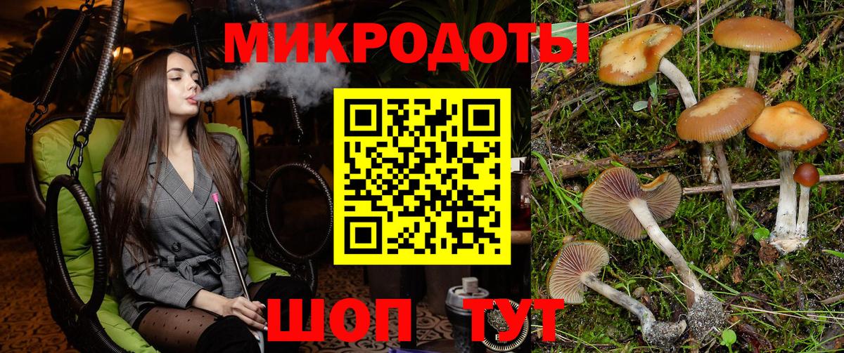 Галлюциногенные грибы GOLDEN TEACHER Черногорск