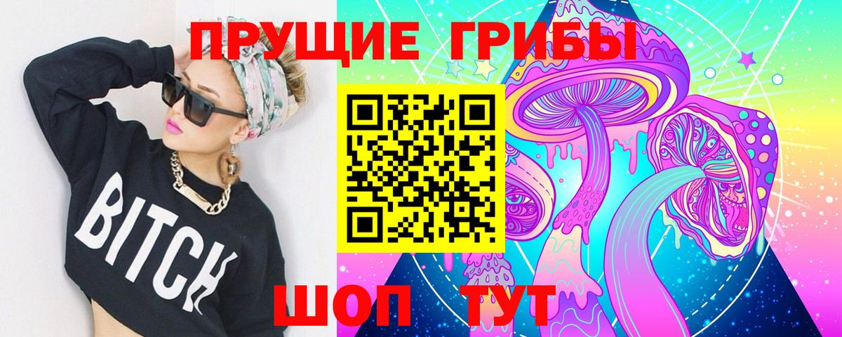 Псилоцибиновые грибы ЛСД  Вход с VPN  Псилоцибиновые грибы мухоморы  Черногорск 